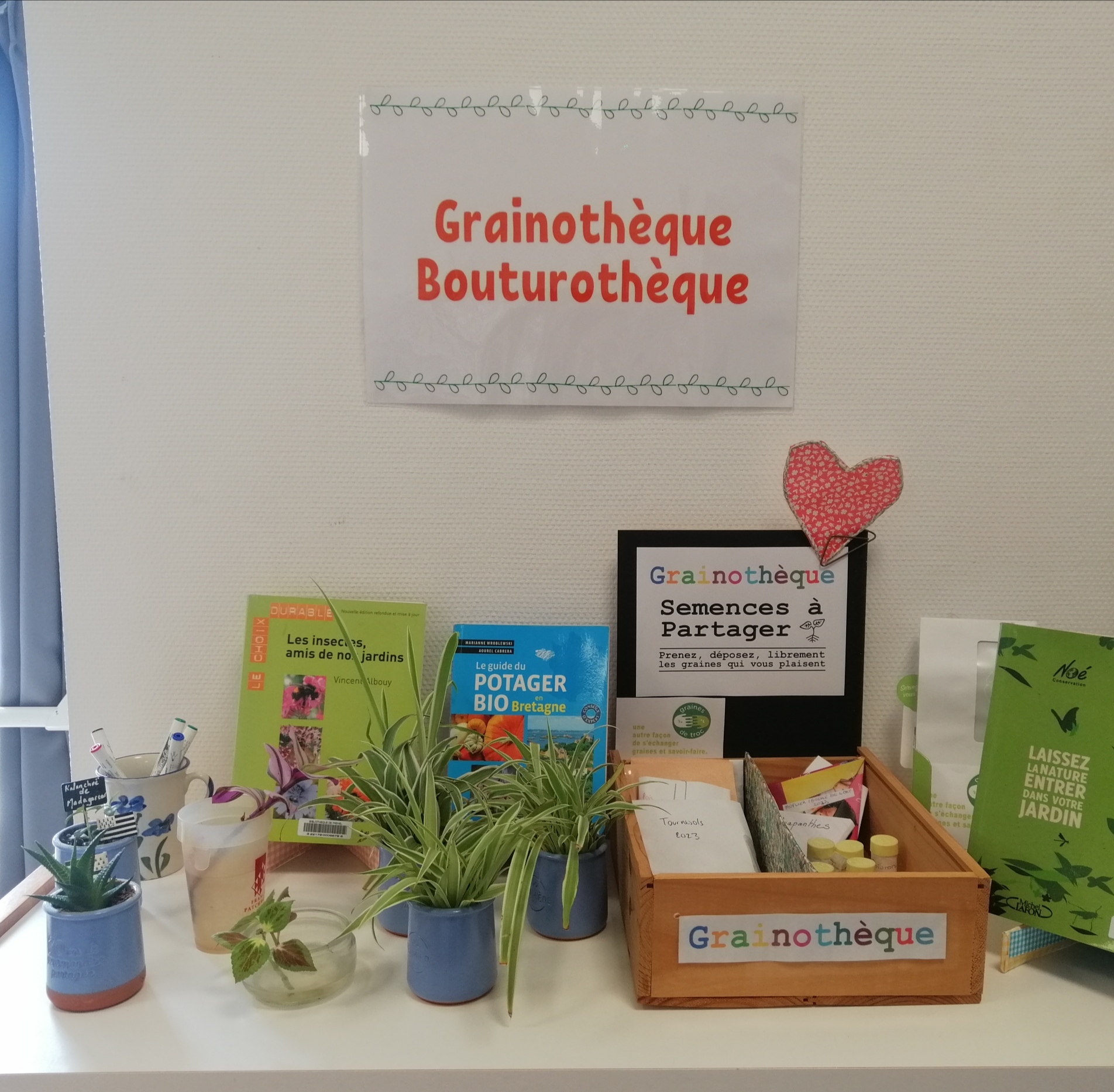 Grainothèque - bouturothèque